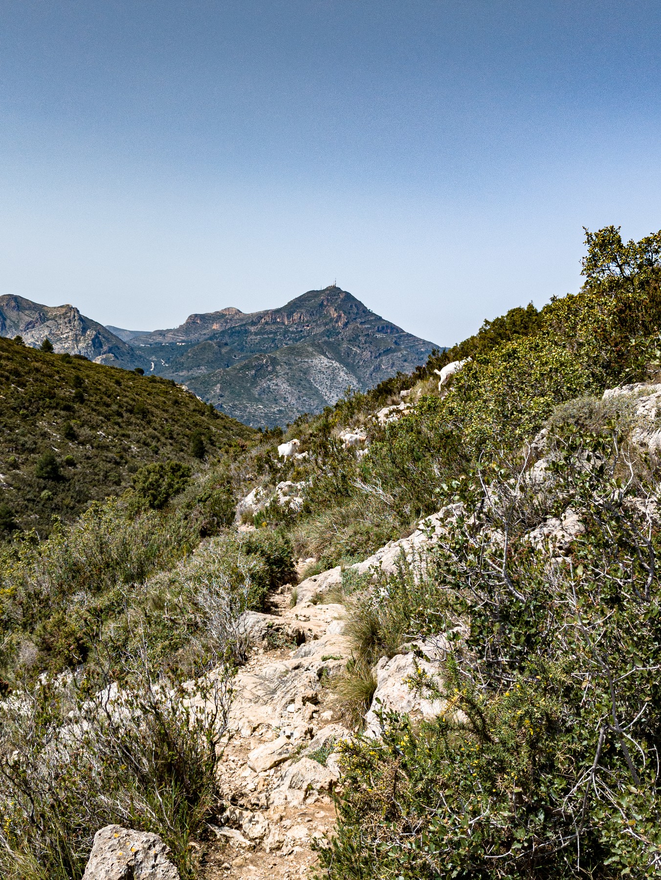 Local hiking Marxuquera